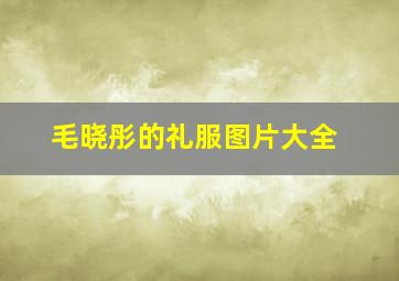 毛晓彤的礼服图片大全