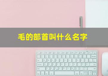 毛的部首叫什么名字