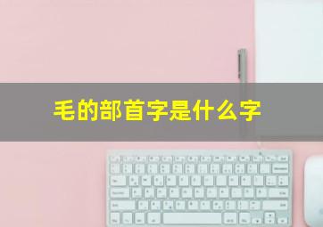 毛的部首字是什么字