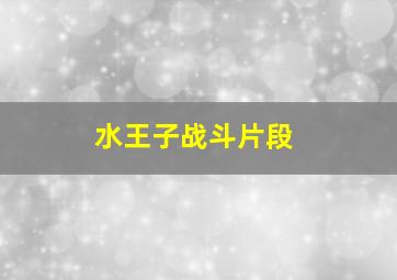 水王子战斗片段