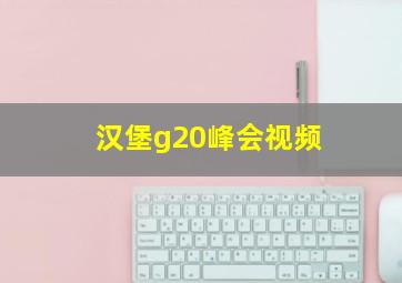 汉堡g20峰会视频