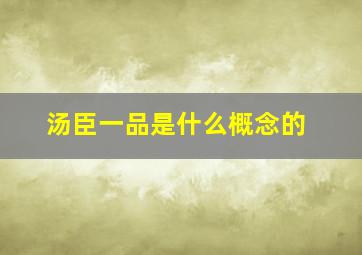 汤臣一品是什么概念的