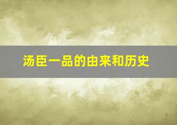 汤臣一品的由来和历史