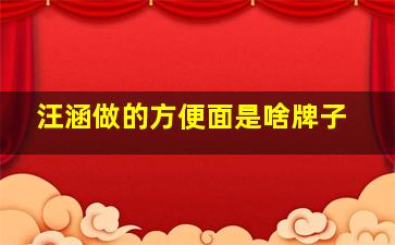 汪涵做的方便面是啥牌子