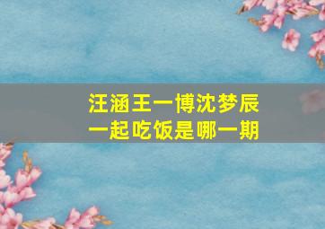 汪涵王一博沈梦辰一起吃饭是哪一期