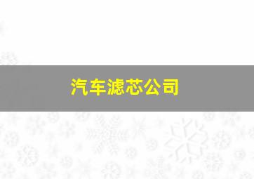 汽车滤芯公司