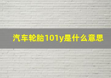 汽车轮胎101y是什么意思