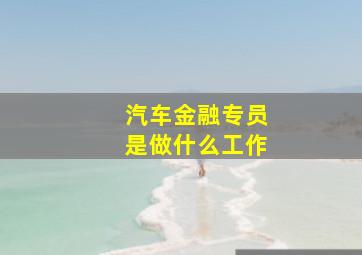 汽车金融专员是做什么工作