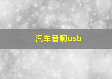 汽车音响usb