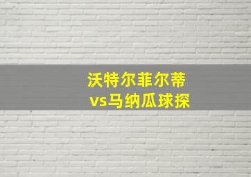 沃特尔菲尔蒂vs马纳瓜球探