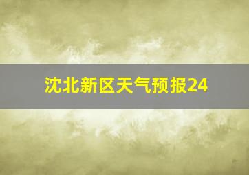 沈北新区天气预报24