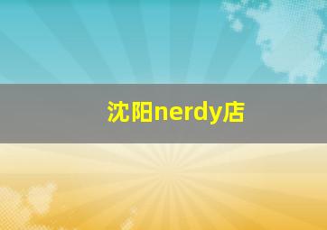 沈阳nerdy店