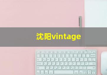 沈阳vintage