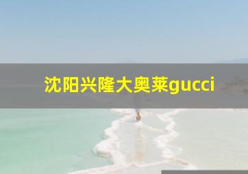 沈阳兴隆大奥莱gucci