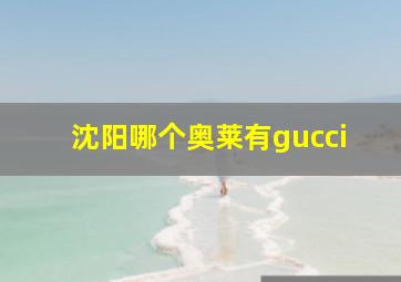 沈阳哪个奥莱有gucci