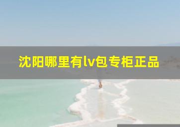 沈阳哪里有lv包专柜正品