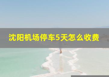 沈阳机场停车5天怎么收费