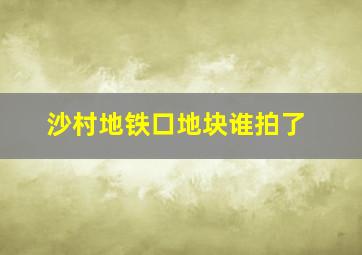 沙村地铁口地块谁拍了