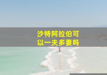 沙特阿拉伯可以一夫多妻吗