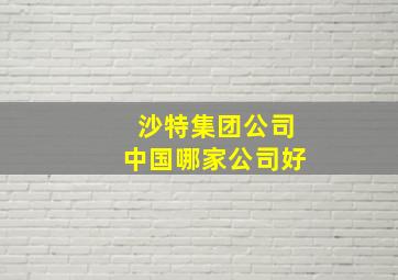 沙特集团公司中国哪家公司好