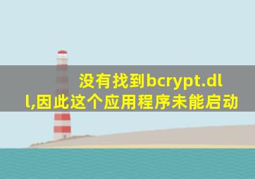 没有找到bcrypt.dll,因此这个应用程序未能启动