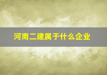 河南二建属于什么企业