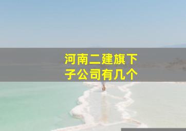 河南二建旗下子公司有几个