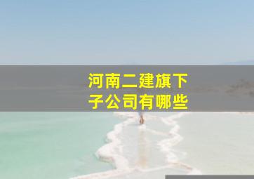 河南二建旗下子公司有哪些