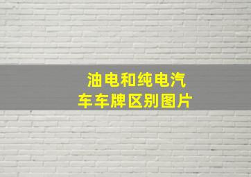 油电和纯电汽车车牌区别图片