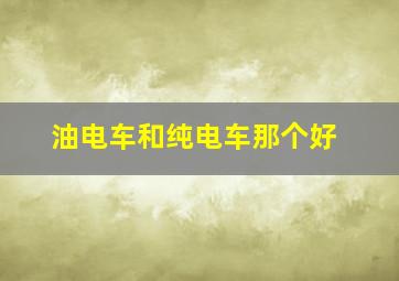 油电车和纯电车那个好