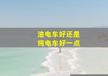 油电车好还是纯电车好一点