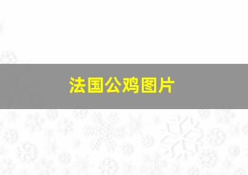 法国公鸡图片