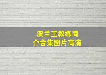 波兰主教练简介合集图片高清