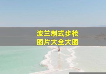 波兰制式步枪图片大全大图