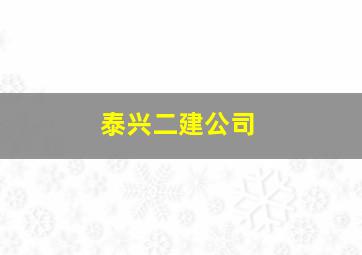 泰兴二建公司