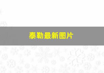 泰勒最新图片