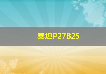 泰坦P27B2S