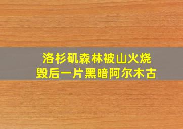 洛杉矶森林被山火烧毁后一片黑暗阿尔木古