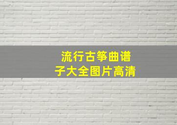 流行古筝曲谱子大全图片高清