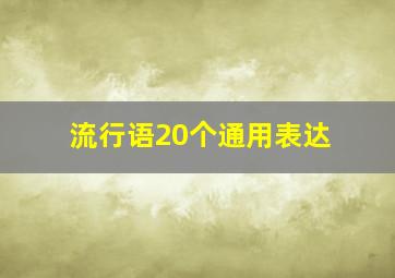 流行语20个通用表达