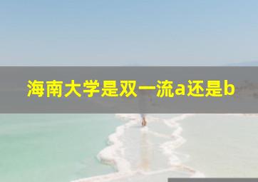 海南大学是双一流a还是b