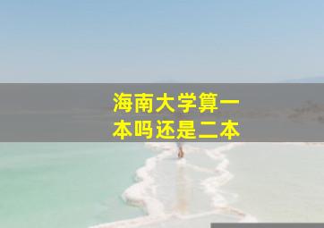 海南大学算一本吗还是二本