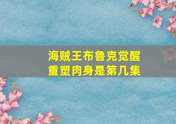 海贼王布鲁克觉醒重塑肉身是第几集