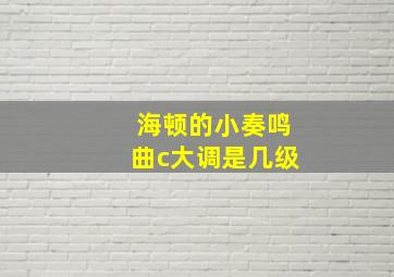 海顿的小奏鸣曲c大调是几级