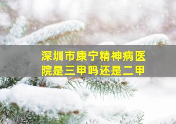 深圳市康宁精神病医院是三甲吗还是二甲