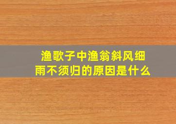 渔歌子中渔翁斜风细雨不须归的原因是什么