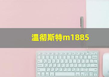 温彻斯特m1885