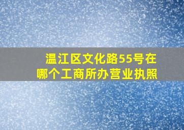 温江区文化路55号在哪个工商所办营业执照