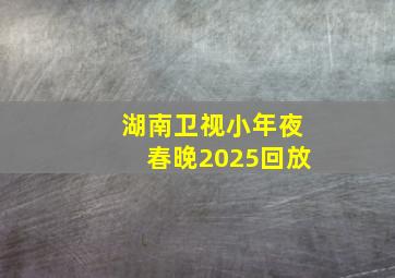 湖南卫视小年夜春晚2025回放