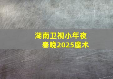 湖南卫视小年夜春晚2025魔术